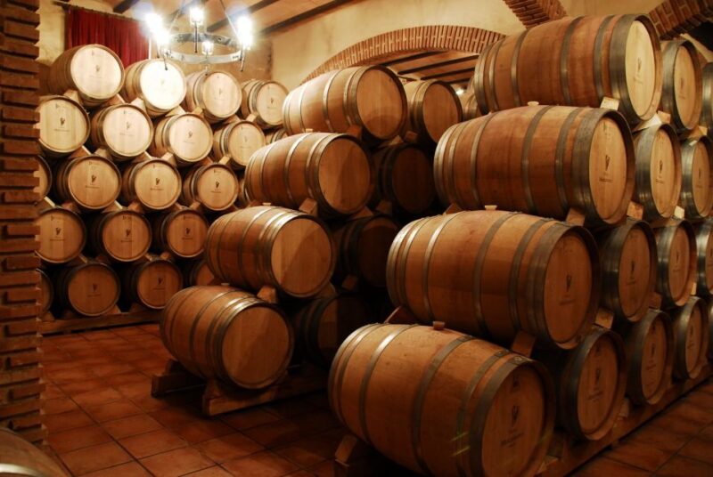 Mendoza: Small-Group Wineries Tour With Tasting and Lunch - Key Points