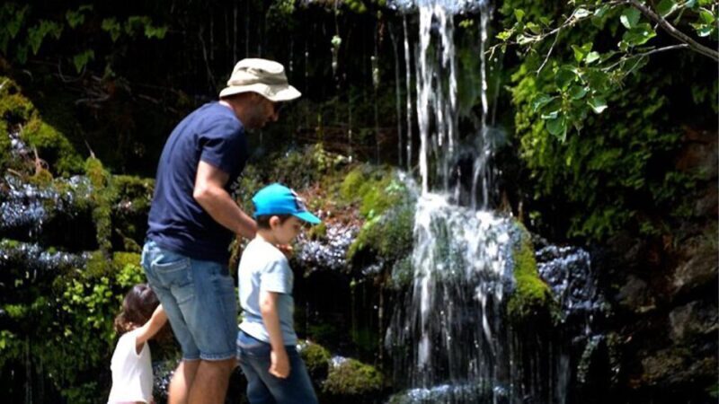Menites Springs & Cave Foros - Half Day Tour - Authentic Experiences and Real Traveler Feedback