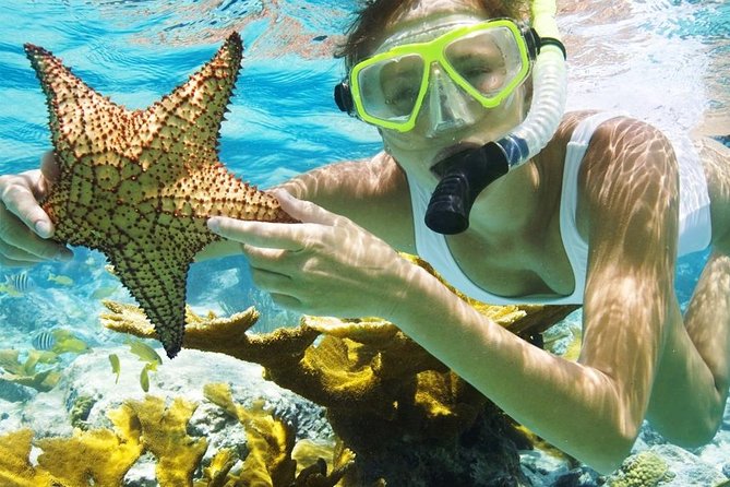 Menjangan Island Bali Diving Activity - Safety Measures and Requirements