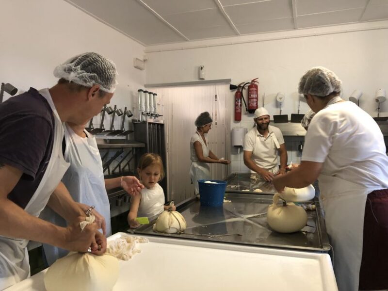 Menorca: Cheesemaking and Farm-Fresh Product Tasting - Key Points