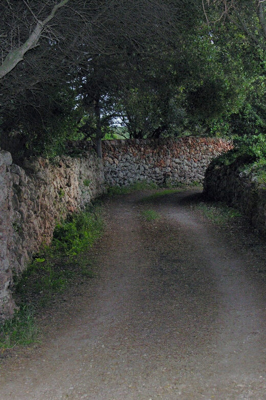 Menorca: E-Bike Tour From Punta Prima to Binibeca - Exploring the Itinerary: What to Expect from Start to Finish