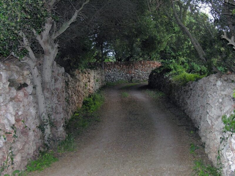 Menorca: E-Bike Tour From Punta Prima to Binibeca - Final Thoughts: Who Will Love This Tour?