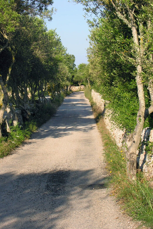 Menorca: E-Bike Tour From Punta Prima to Es Castell - Exploring Menorca on Two Wheels: An Authentic Perspective