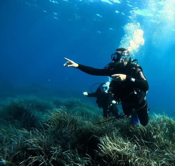 Menorca: Try scuba diving in Cala'n Bosch -BLUEWATER MENORCA - Practical Details & What to Keep in Mind
