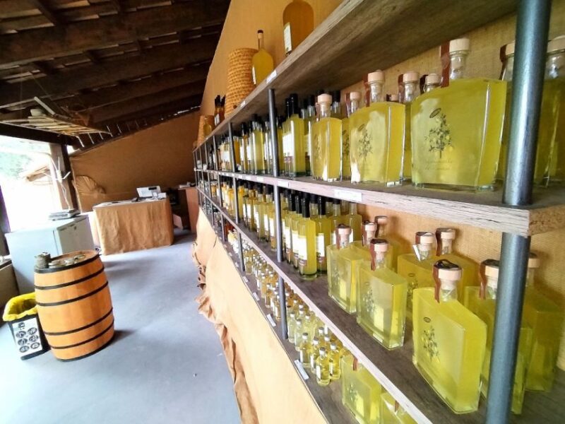 Menton: Citrus Farm, Old-Town & Botanic Full Day Tour - Optional Boat Cruise