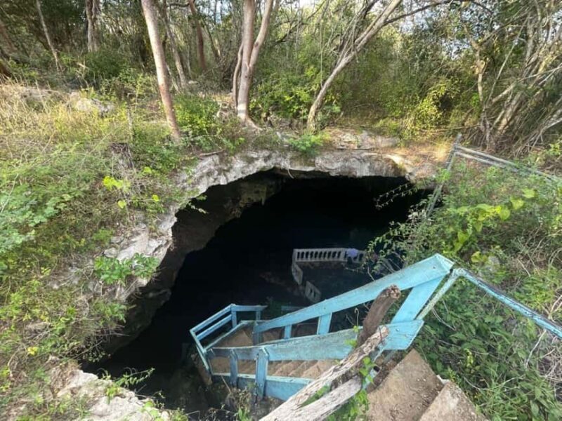 Mérida: 4 Majestic Cenotes Tour with Typical Lunch - Practical Tips for Travelers