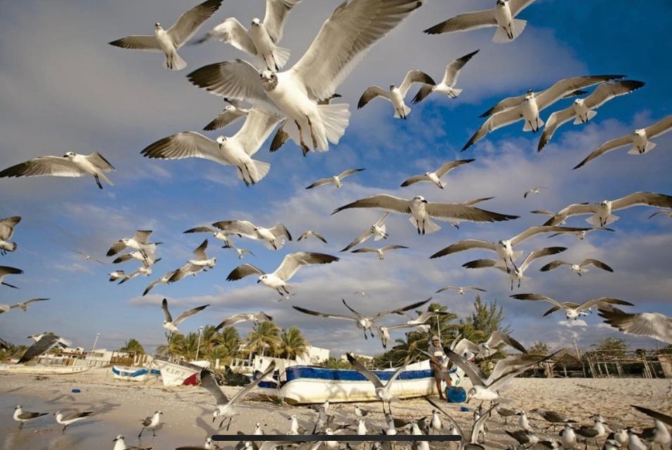 Merida: Celestun Biosphere Reserve and Beach Private Tour - Ria Celestun Biosphere Reserve
