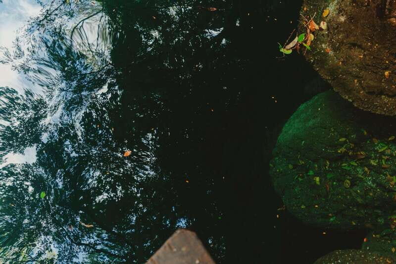 Merida: Explore With The One You Love, Day trip to Cenotes. - A Closer Look at the Experience