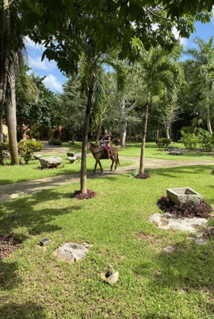 Merida: Hacienda Horseback Ride Experience - Interaction With Animals
