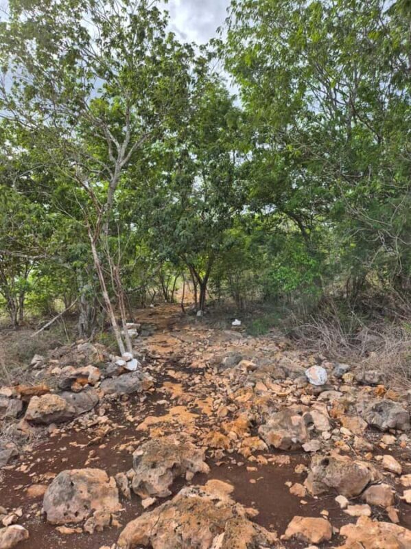 Merida: Hiking, Caving and Bat Watching Tour in the Yucatan - The Experience from the Guides’ Perspective