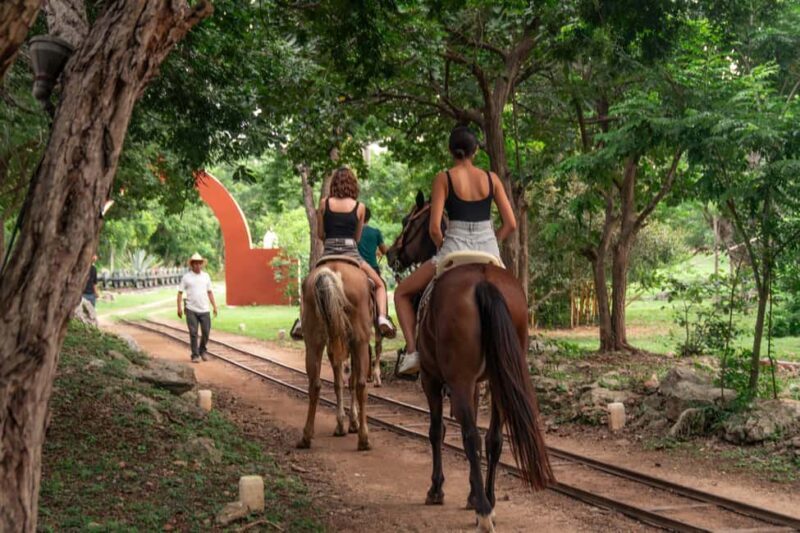 Mérida: Jungle & Cenotes Tour with Horseriding & Lunch - Key Points