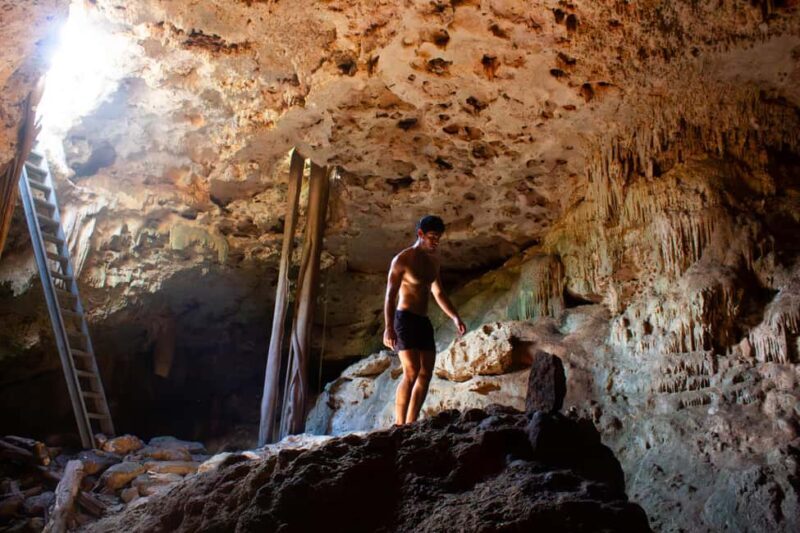 Mérida: Jungle & Cenotes Tour with Horseriding & Lunch - Who Would Love This Tour?