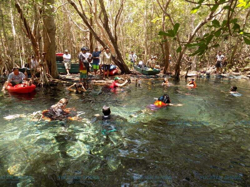 Merida: Kayaking and Bird Sanctuary in Sisal - An In-Depth Look at the Tour