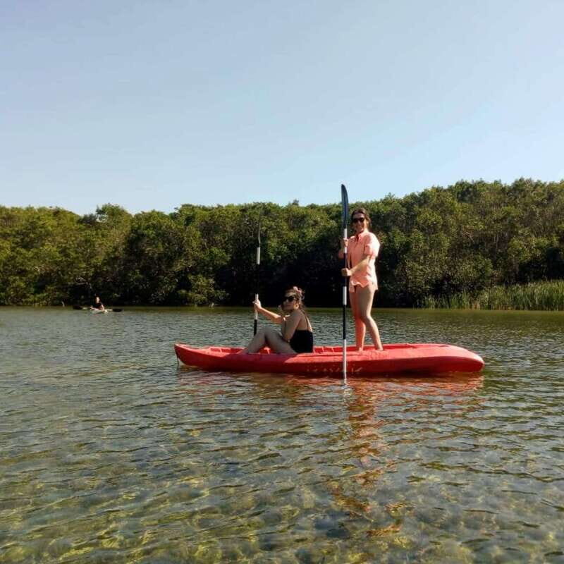 Merida: Kayaking and Bird Sanctuary in Sisal - Final Thoughts: Is This Tour Worth It?