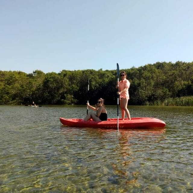 Merida: Kayaking and Bird Sanctuary in Sisal - FAQ