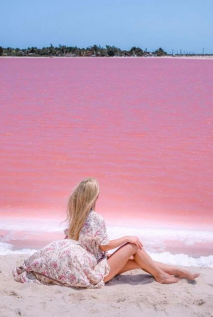 Merida: Las Coloradas & Rio Lagartos Tour - Key Points