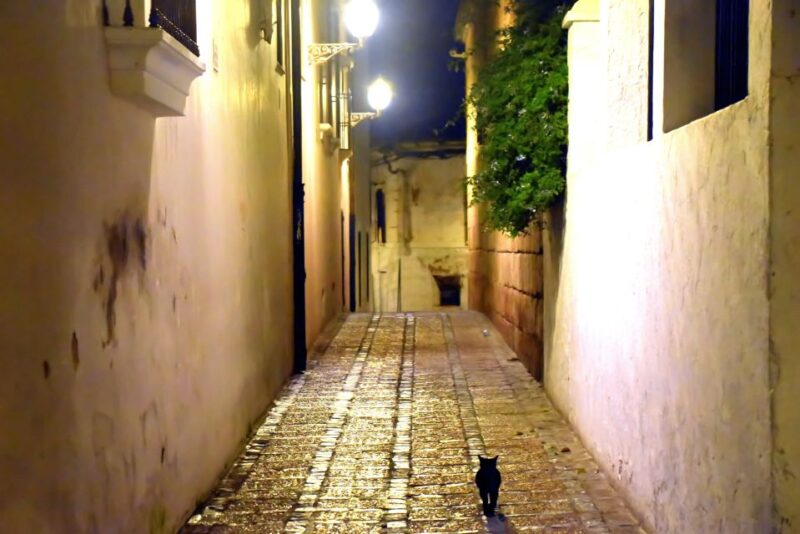 Merida: Legends and Mysteries Night Tour - Participant Information