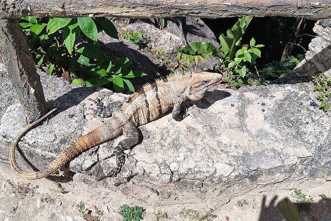 Merida : Tour to Valladolid with Cenote Oxman and Suytun with food - FAQ