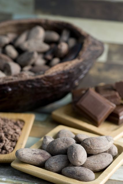 Mérida: Uxmal and Chocolate Museum Choco-Story - Frequently Asked Questions