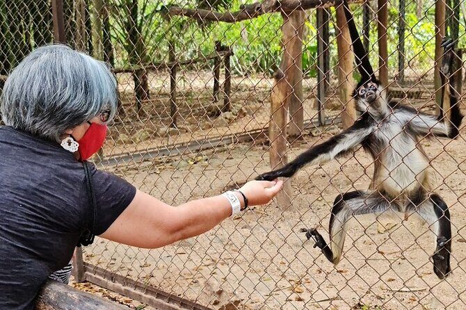 Merida : Uxmal, Chocolate Museum and Cenote with lunch and pick up - A Detailed Look at the Tour Experience