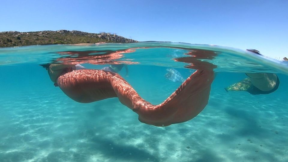 Mermaid Experience - Customer Reviews