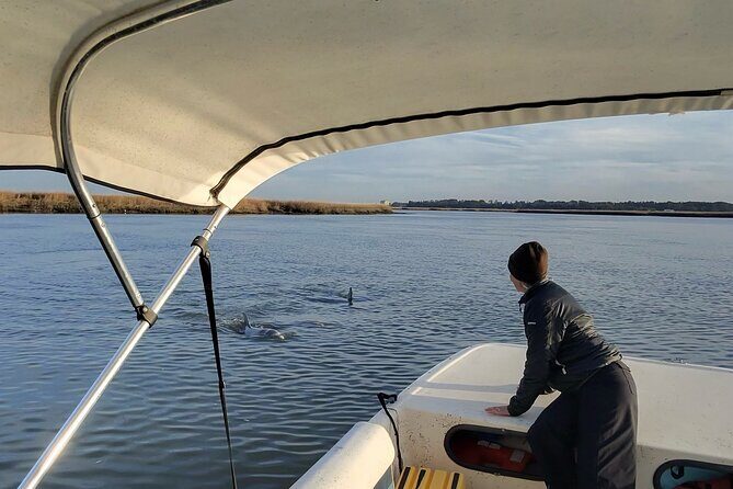 Mermaid Pirate Tours - Price and Value