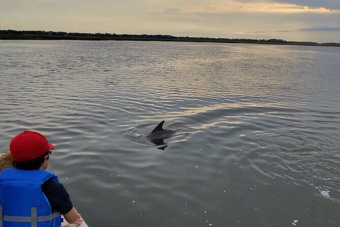 Mermaid Pirate Tours - Who Is This Tour Best For?