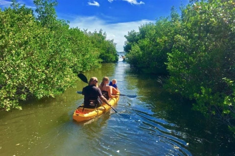 Merritt Island: Guided Kayak or SUP Tour Along Banana River - Key Points