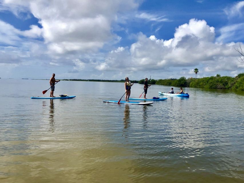 Merritt Island: Guided Kayak or SUP Tour Along Banana River - Paddling Lesson for Beginners