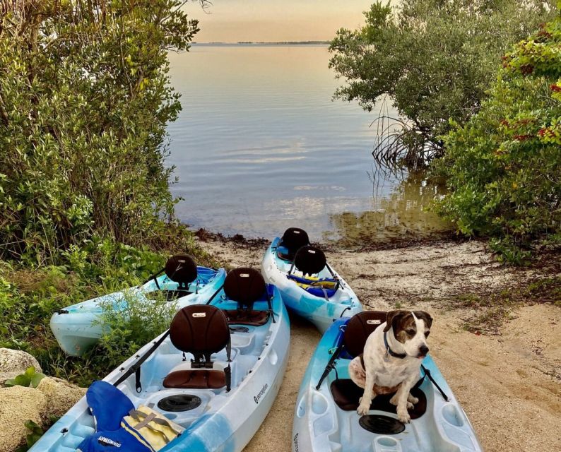 Merritt Island: Guided Kayak or SUP Tour Along Banana River - Cancellation and Payment Policy