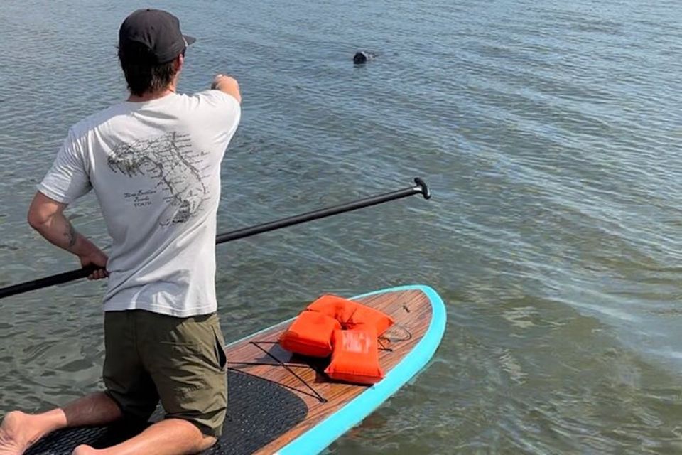 Merritt Island: Manatee Watching Paddle or Kayak Tour - Wildlife Spotting Opportunities