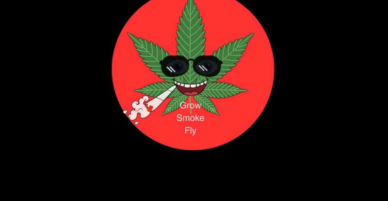 Merry-juana Themed Tour - Good To Know