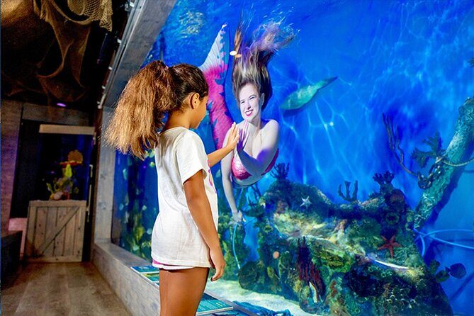 Mertailor's Mermaid Aquarium Encounter General Admission - Final Thoughts: Who Should Consider This Tour?