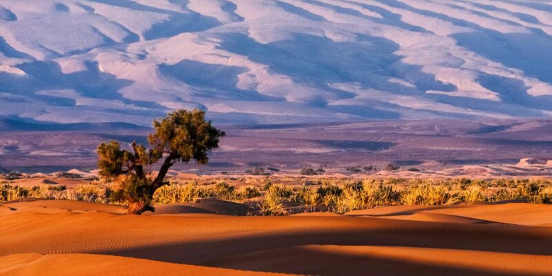 Merzouga 3-Day Desert Safari - Pricing and Availability