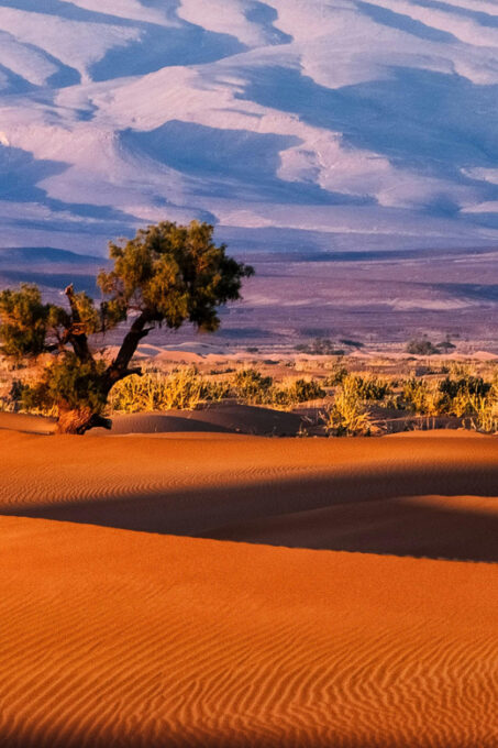 Merzouga 3-Day Desert Safari - Important Pickup Information