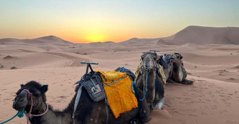 Merzouga 3 Days Sahara Desert Tour - From Marrakech - Highlights of the Itinerary