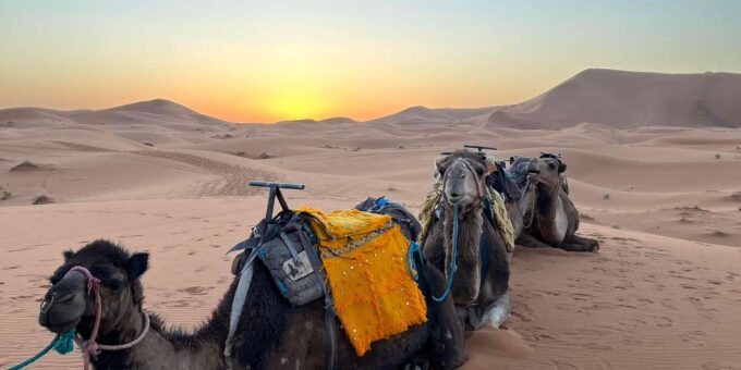 Merzouga 3 Days Sahara Desert Tour - From Marrakech - Exclusions and Considerations