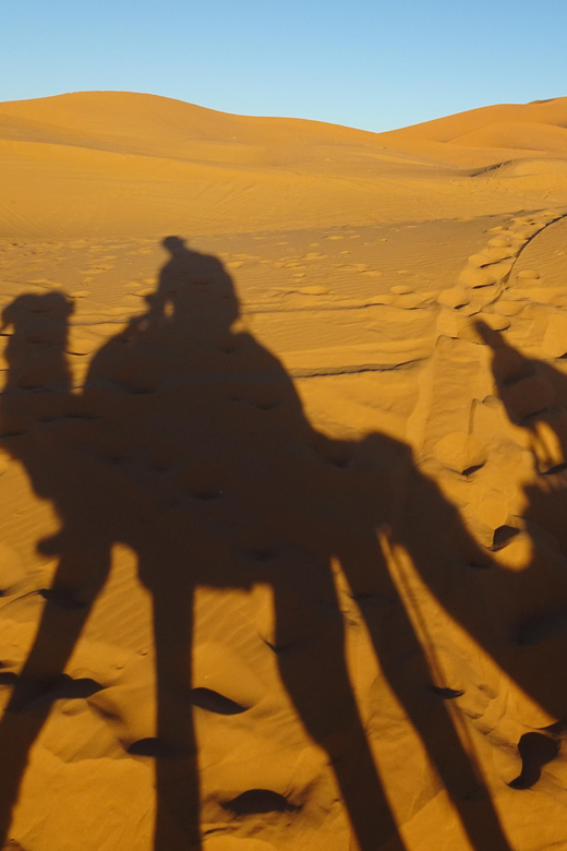 Merzouga Desert Experience - Good To Know