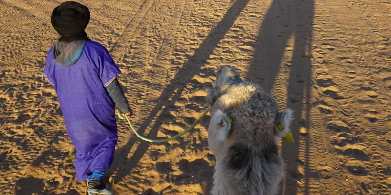 Merzouga Desert Experience - Included Services