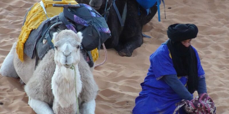Merzouga Desert Experience - Accessibility and Flexibility