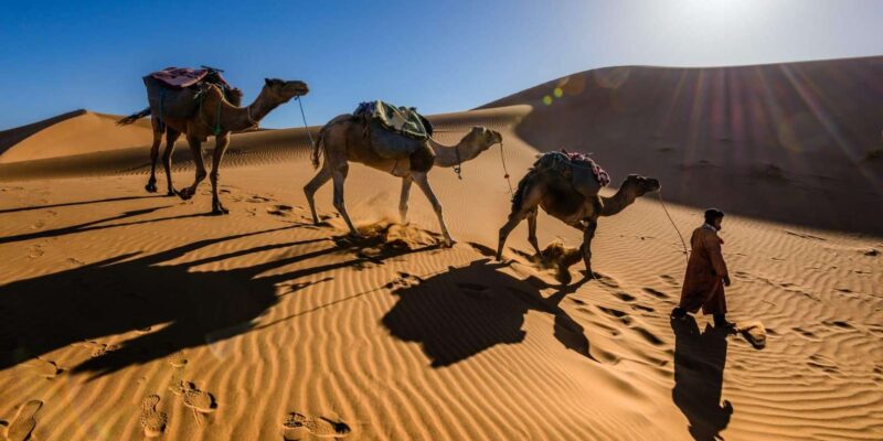 Merzouga Desert Experience - Sunrise and the Draa Valley