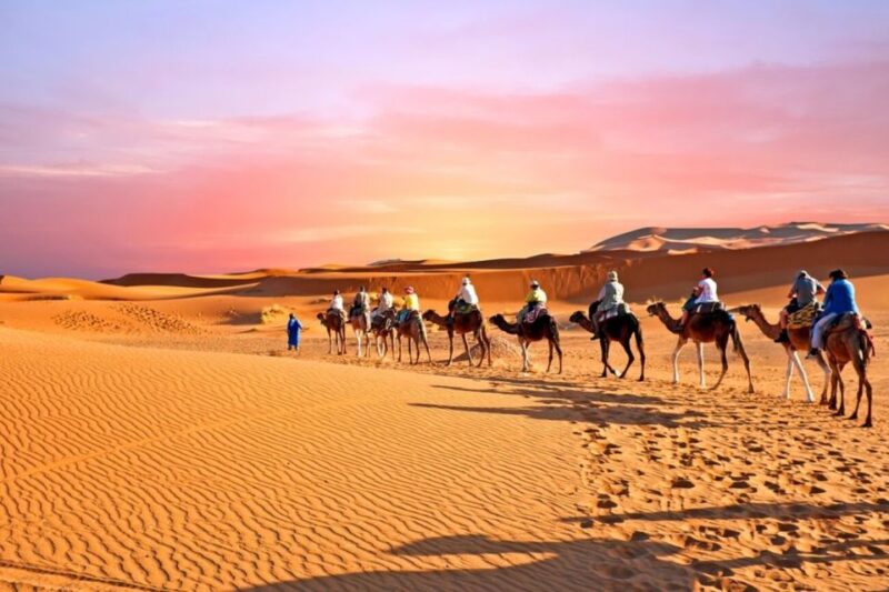 Merzouga: Private Desert Tour From Fez to Marrakech 3D2N - Good To Know