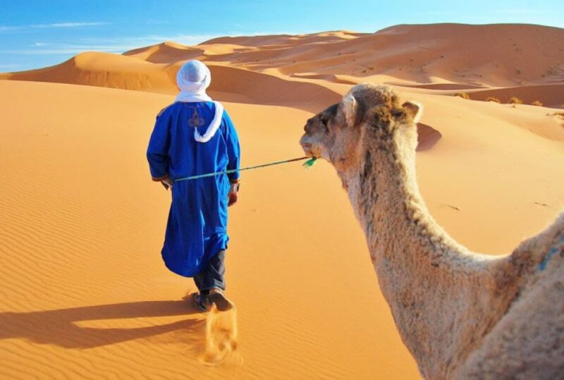 Merzouga: Private Desert Tour From Fez to Marrakech 3D2N - Itinerary Highlights