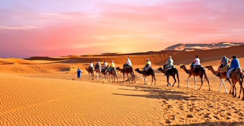 Merzouga: Private Desert Tour From Fez to Marrakech 3D2N - Day 1: Fez to Merzouga