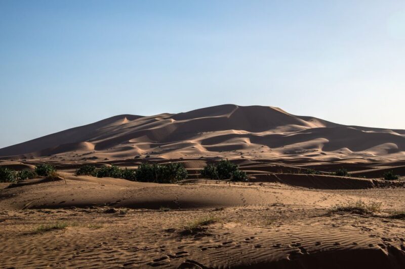 Merzouga Sightseeing Tour That Shouldnt Be Missed - Savoring Berber Pizza Delights