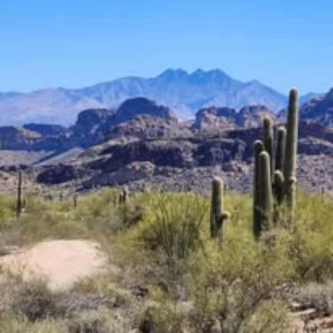 Mesa. AZ: Bulldog Canyon Off-Road Tour Scenic Superstitions - Who Would Enjoy This Tour?