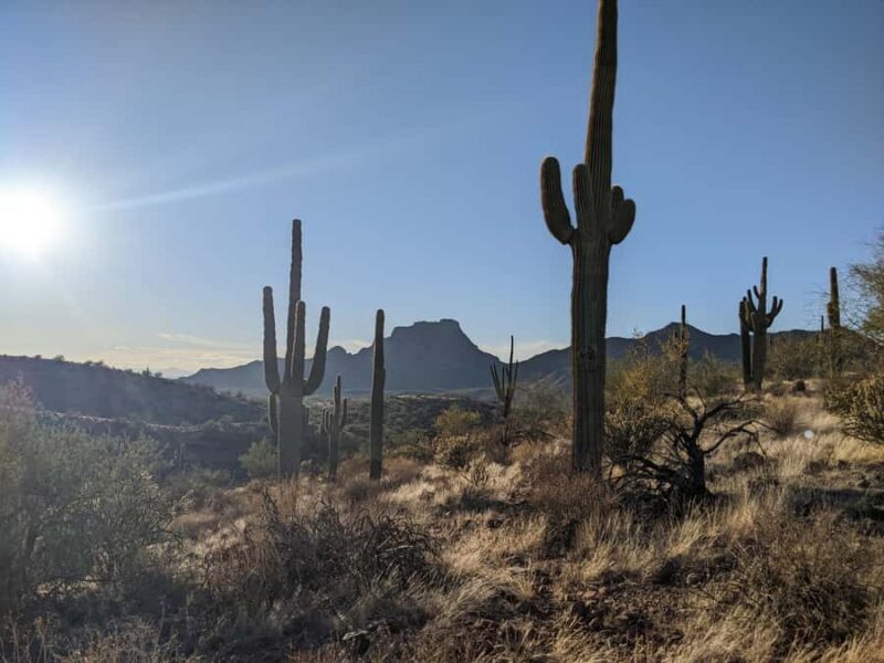 Mesa: Copper Mile Desert Hike - Key Points