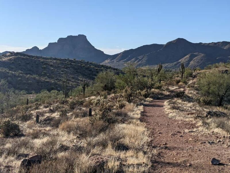 Mesa: Copper Mile Desert Hike - The Sum Up: Is It Worth It?