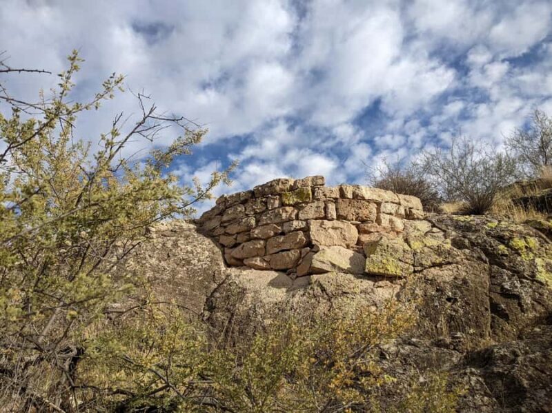 Mesa: Lime Kiln Desert Hike on the Lower Salt River - Wildlife and Landscape: What You Might See