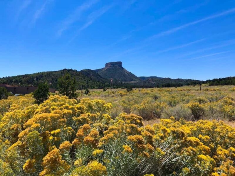 Mesa Verde: 700 Years Tour & Ranger-Guided Cliff House Visit - Analyzing the Value